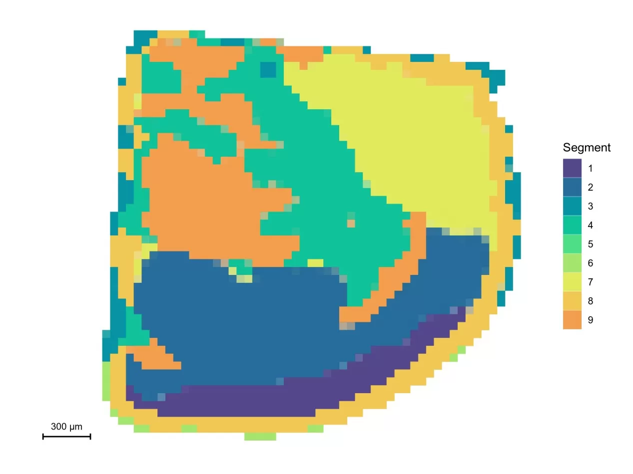 Spatial segmentation